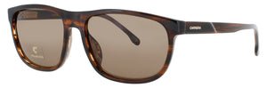 CARRERA C-FLEX-08/G/S-EX4/SP sunglasses in BROWN HORN