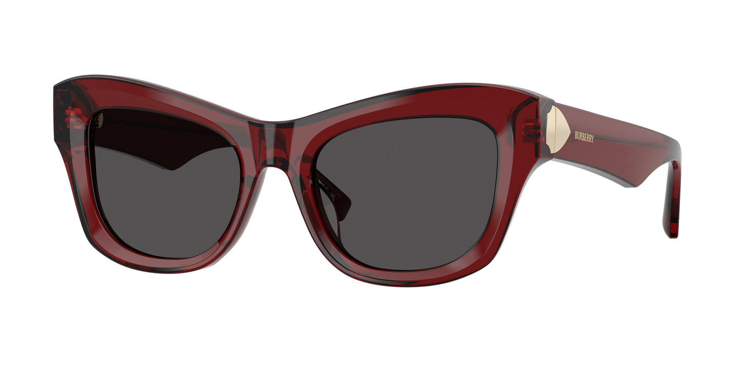 Burberry BE4442U in Transparent Bordeaux Burgundy/Dark Grey