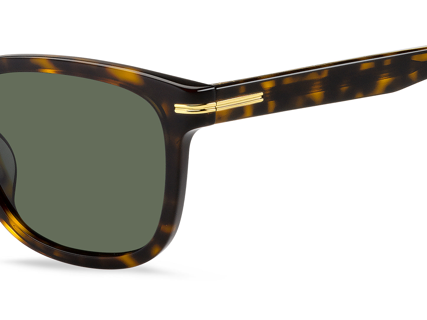 Hugo Boss 1722/G/S in Havana / Green - view 4