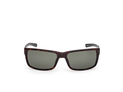 Harley Davidson HD00022 sunglasses in dark havana / green