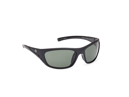 Harley Davidson HD0903X sunglasses in Black / Smoke