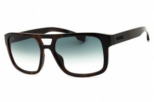 Hugo Boss BOSS 1648/S - Havana/Green Gradient